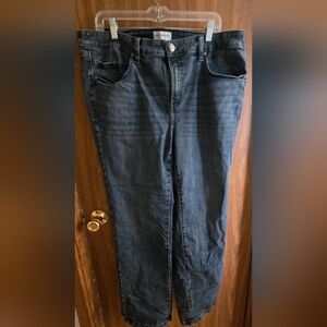 Lane Bryant Straight Leg Women's Jeans